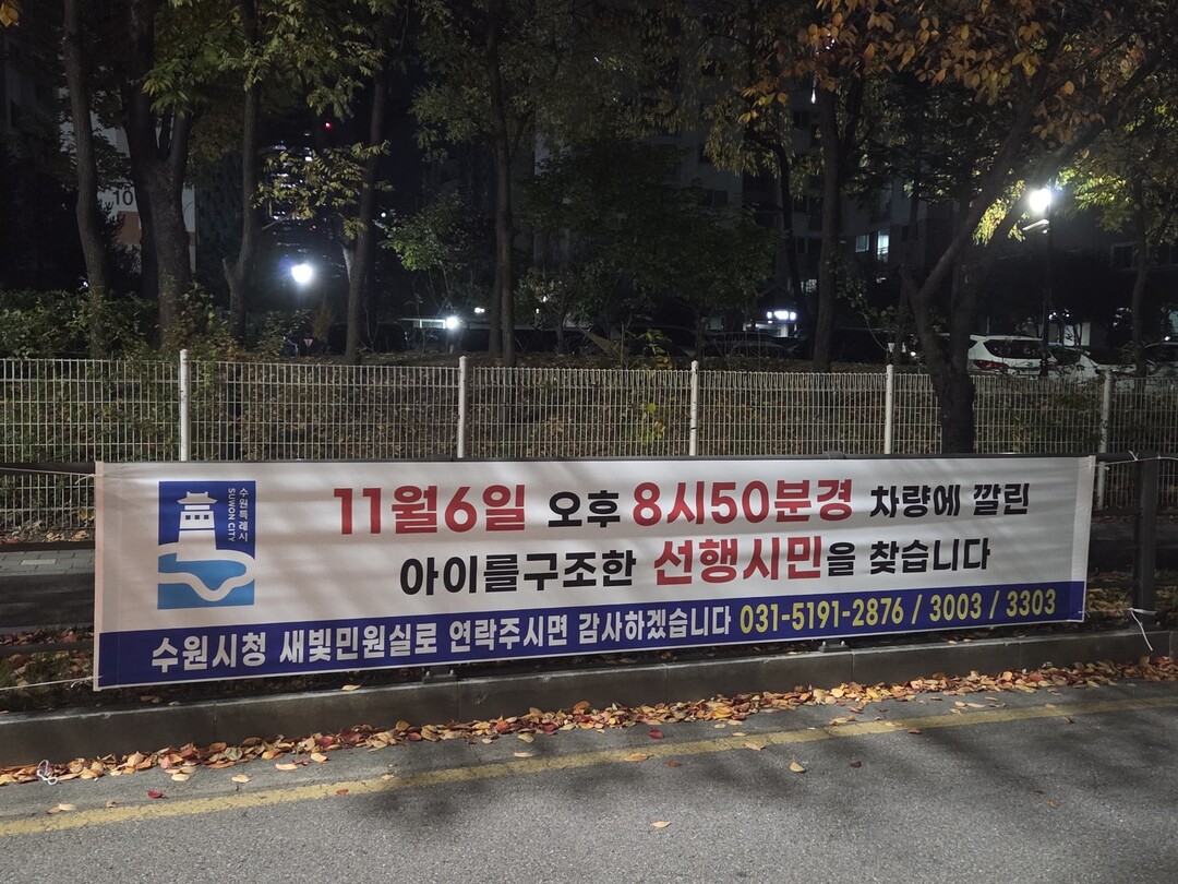 수원특례시, 대각선 횡단보도에서 벌어진 '비극과 기적'