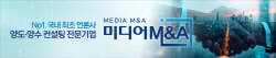 미디어 M&A